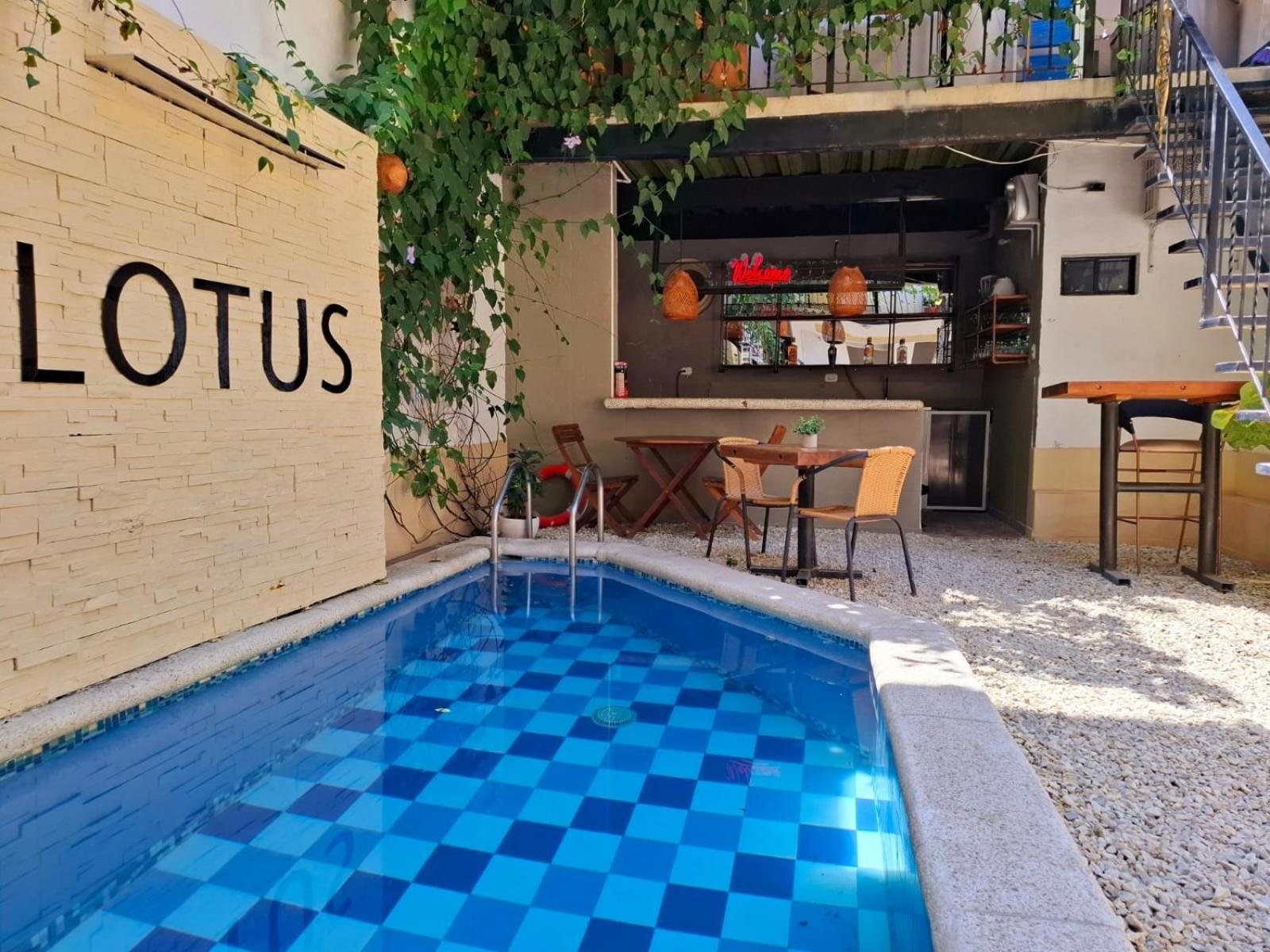 Lotus * Santa Marta (Magdalena)
