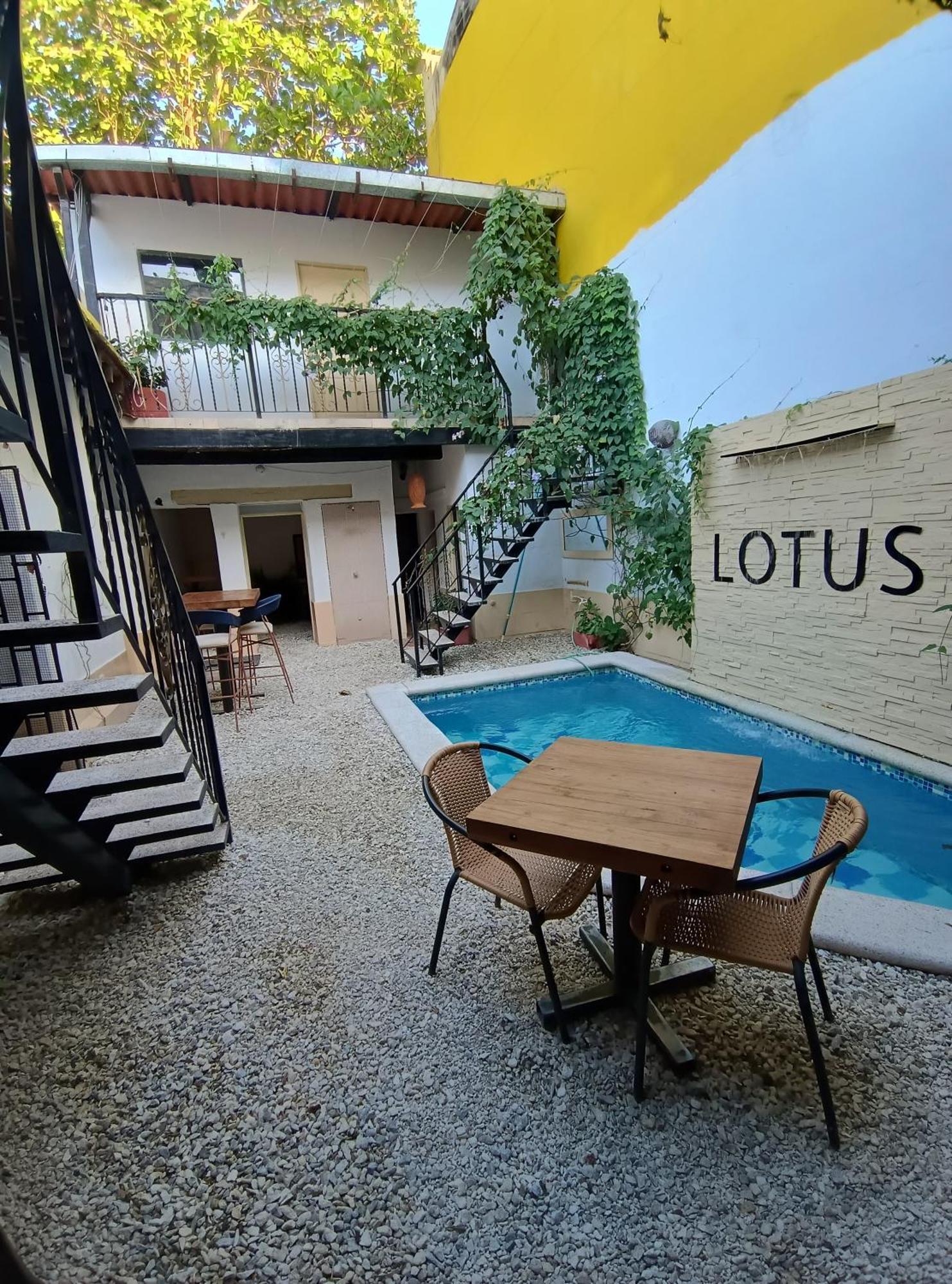 Hotel Lotus *