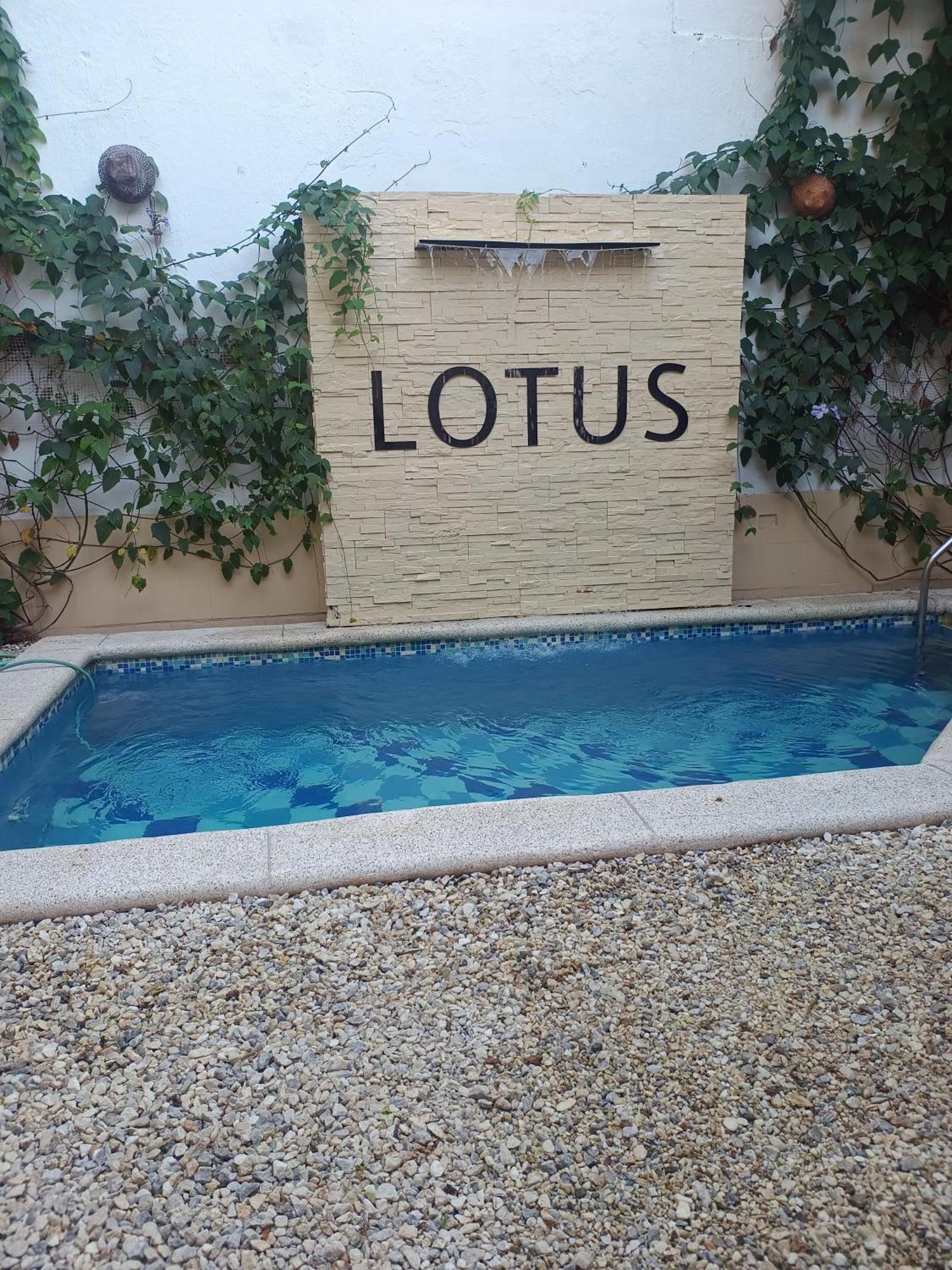 Hotel Lotus *